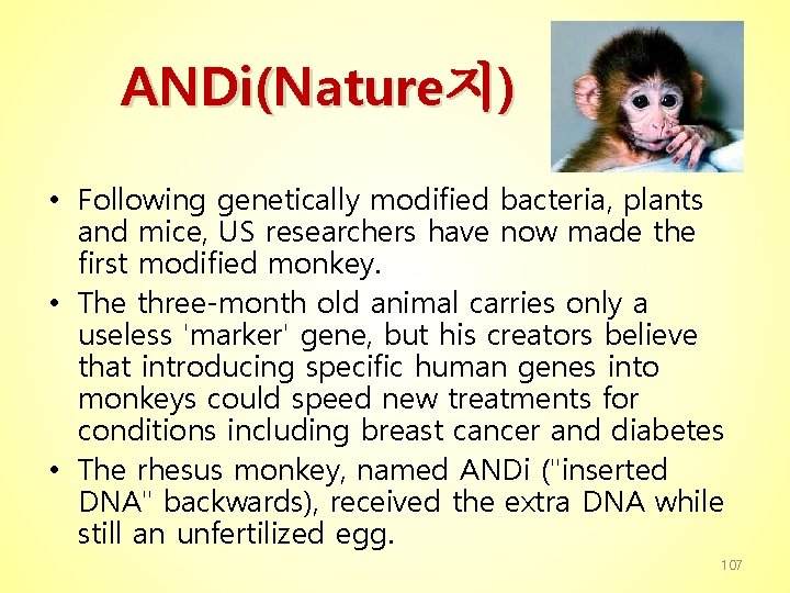 ANDi(Nature지) • Following genetically modified bacteria, plants and mice, US researchers have now made