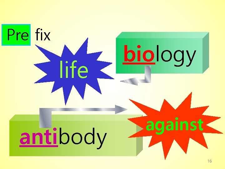 Pre fix life antibody biology against 16 