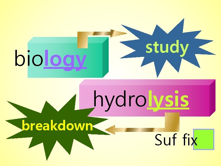 study biology hydrolysis breakdown Suf fix 