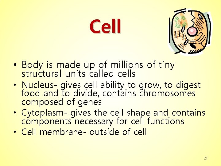 Cell • Body is made up of millions of tiny structural units called cells