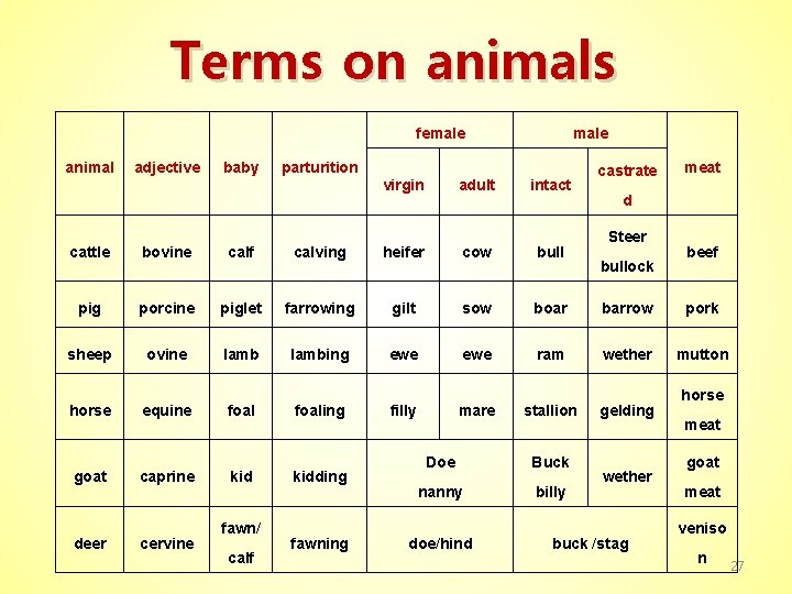 Terms on animals female animal adjective baby male parturition virgin adult intact castrate meat
