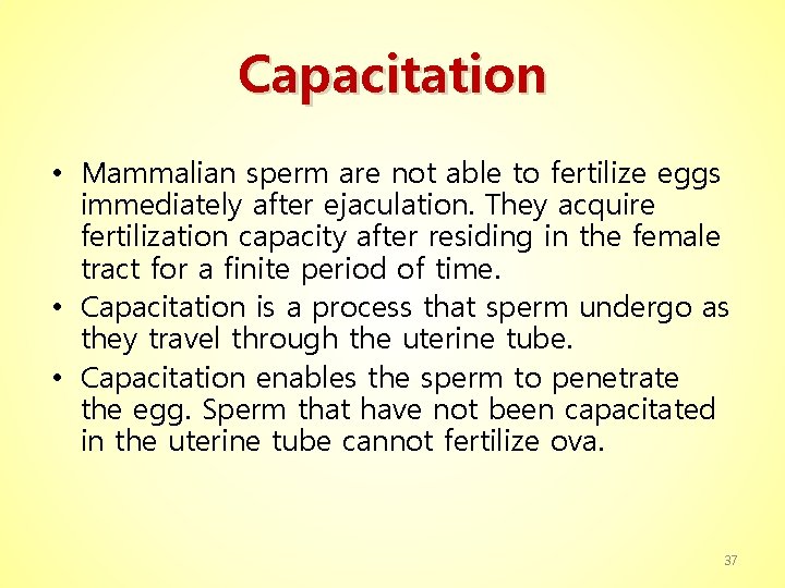 Capacitation • Mammalian sperm are not able to fertilize eggs immediately after ejaculation. They