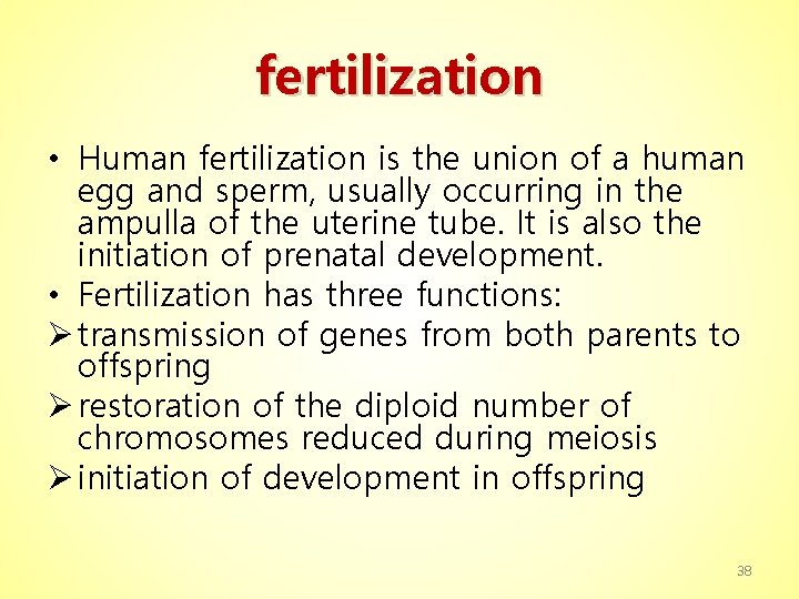 fertilization • Human fertilization is the union of a human egg and sperm, usually