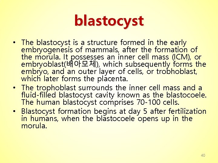 blastocyst • The blastocyst is a structure formed in the early embryogenesis of mammals,
