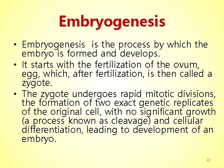 Embryogenesis • Embryogenesis is the process by which the embryo is formed and develops.