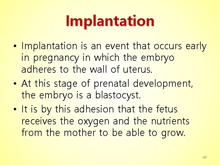 Implantation • Implantation is an event that occurs early in pregnancy in which the