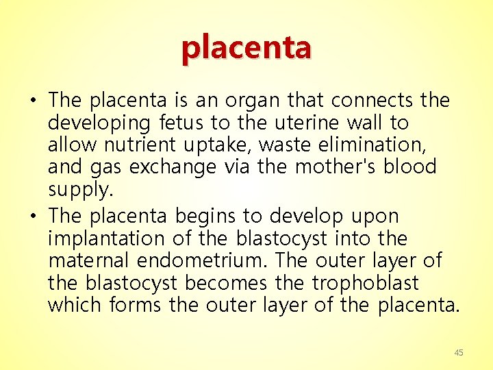 placenta • The placenta is an organ that connects the developing fetus to the