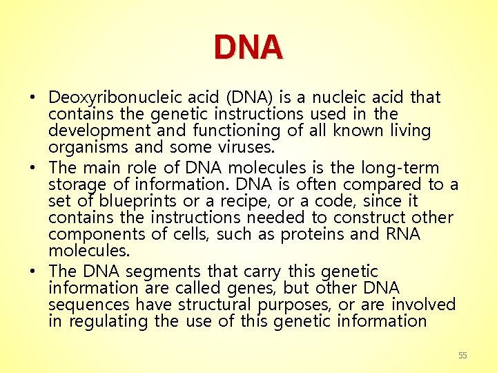 DNA • Deoxyribonucleic acid (DNA) is a nucleic acid that contains the genetic instructions