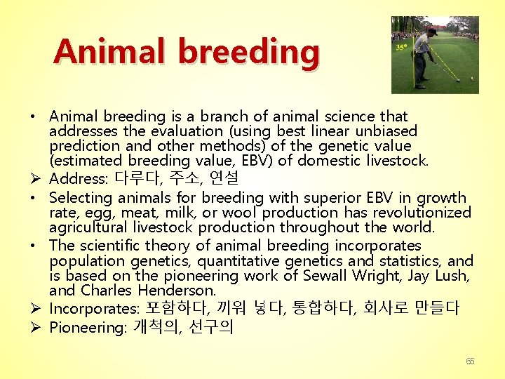 Animal breeding • Animal breeding is a branch of animal science that addresses the