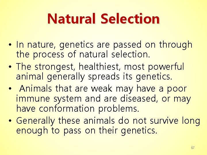 Natural Selection • In nature, genetics are passed on through the process of natural