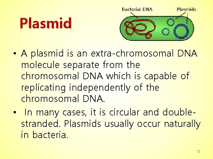 Plasmid • A plasmid is an extra-chromosomal DNA molecule separate from the chromosomal DNA