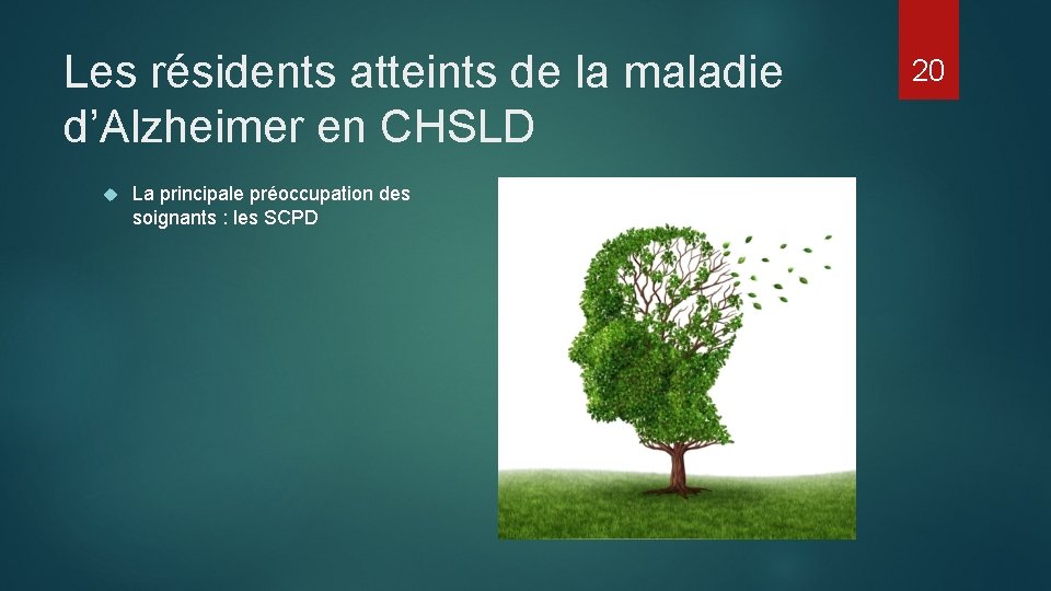 Les résidents atteints de la maladie d’Alzheimer en CHSLD La principale préoccupation des soignants