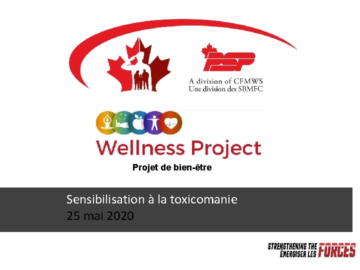 WELLNESS PROJECT Projet de bien-être Sensibilisation à la toxicomanie 25 mai 2020 