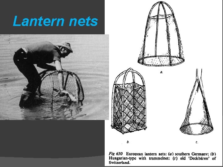 Lantern nets Lantern nets