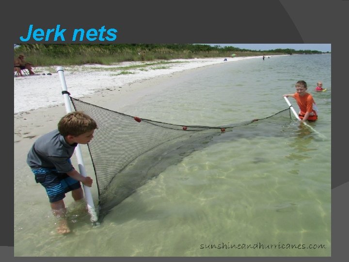 Jerk nets Jerk nets