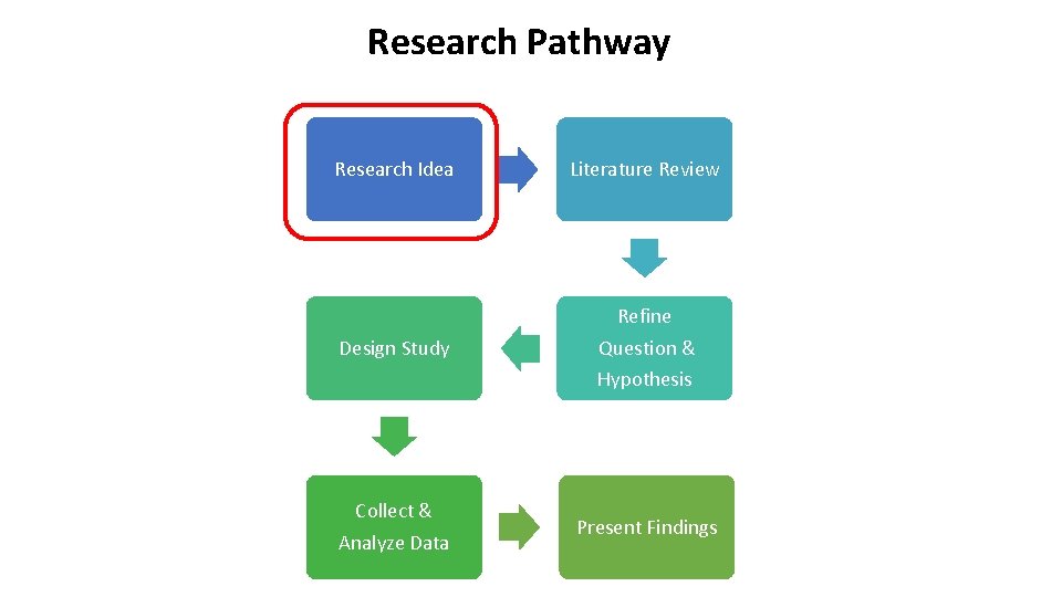 Research Pathway Research Idea Literature Review Design Study Refine Question & Hypothesis Collect &