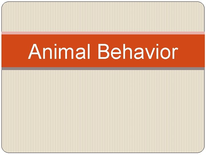 Animal Behavior 