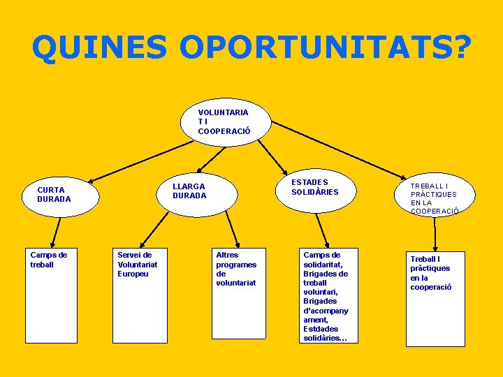 QUINES OPORTUNITATS? VOLUNTARIA TI COOPERACIÓ Camps de treball ESTADES SOLIDÀRIES LLARGA DURADA CURTA DURADA