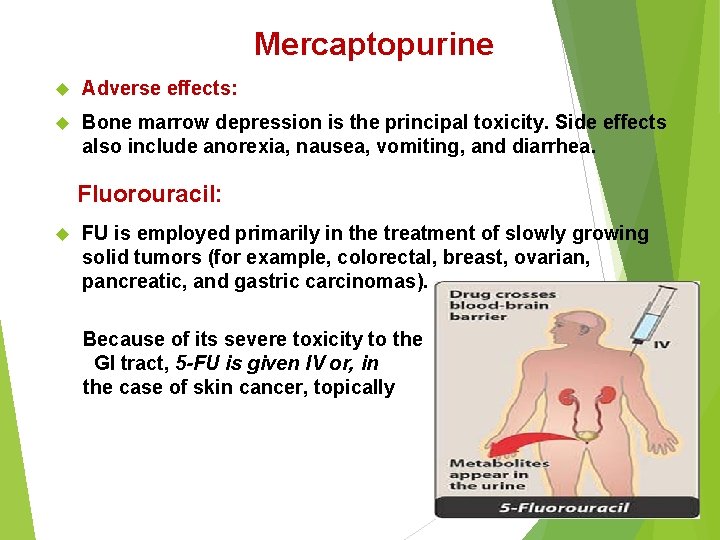 Mercaptopurine Adverse effects: Bone marrow depression is the principal toxicity. Side effects also include