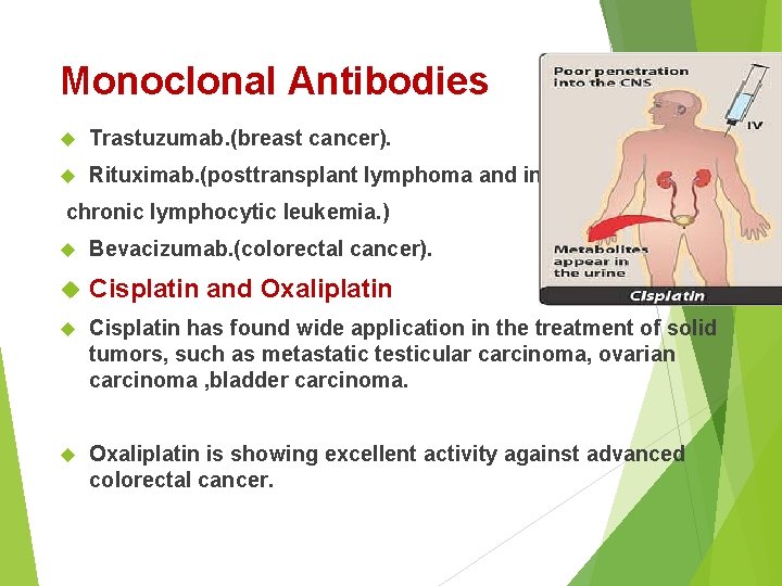 Monoclonal Antibodies Trastuzumab. (breast cancer). Rituximab. (posttransplant lymphoma and in chronic lymphocytic leukemia. )