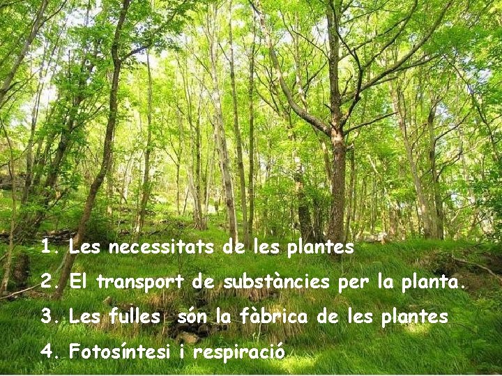 1. Les necessitats de les plantes 2. El transport de substàncies per la planta.