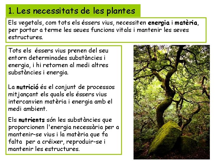 1. Les necessitats de les plantes Els vegetals, com tots els éssers vius, necessiten