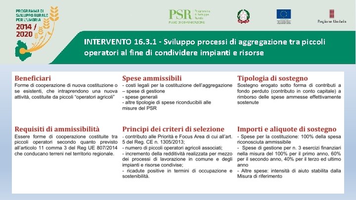 INTERVENTO 16. 3. 1 - Sviluppo processi di aggregazione tra piccoli operatori al fine