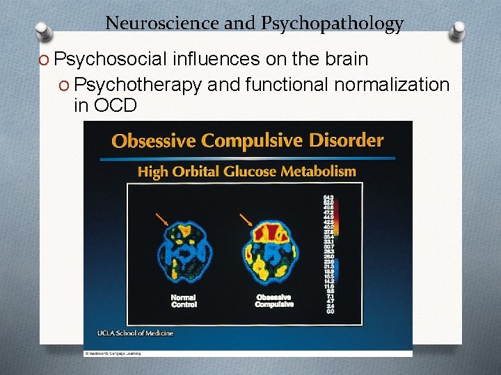 Neuroscience and Psychopathology O Psychosocial influences on the brain O Psychotherapy and functional normalization