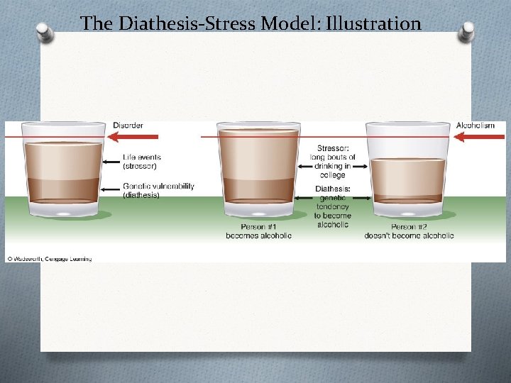 The Diathesis-Stress Model: Illustration 