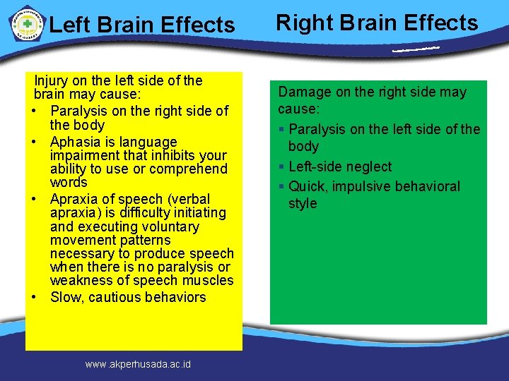 Left Brain Effects Injury on the left side of the brain may cause: •