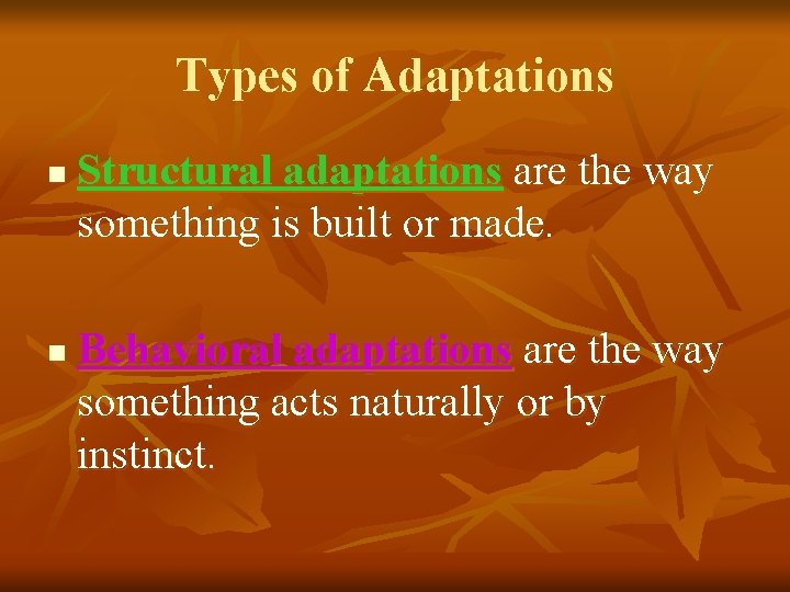 Types of Adaptations n n Structural adaptations are the way something is built or