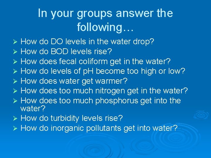 In your groups answer the following… How do DO levels in the water drop?