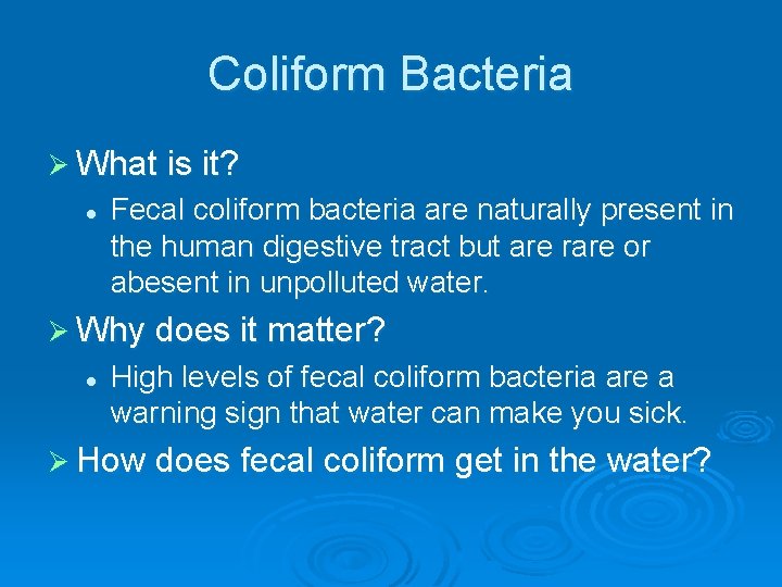Coliform Bacteria Ø What is it? l Fecal coliform bacteria are naturally present in