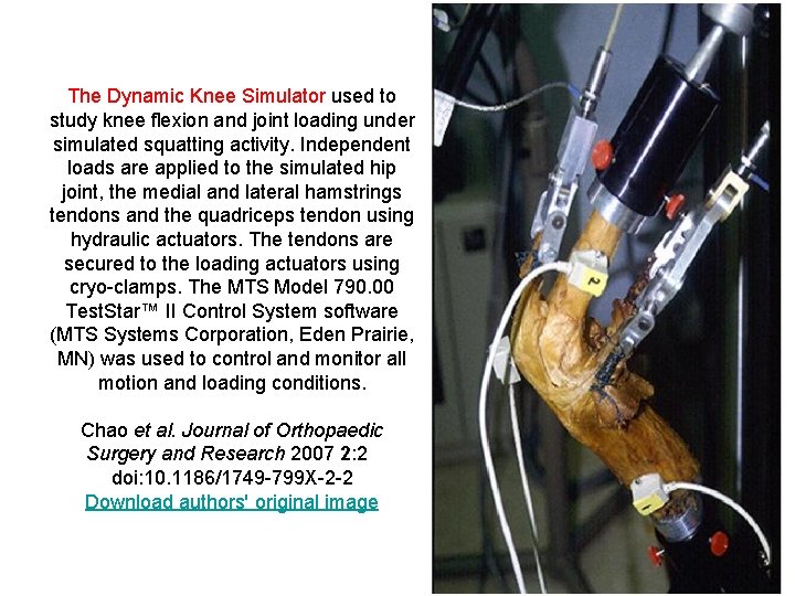 The Dynamic Knee Simulator used to study knee flexion and joint loading under simulated