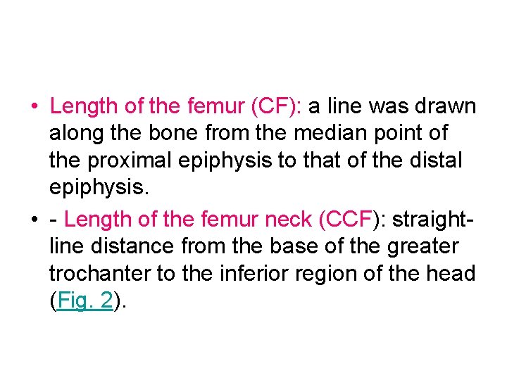  • Length of the femur (CF): a line was drawn along the bone