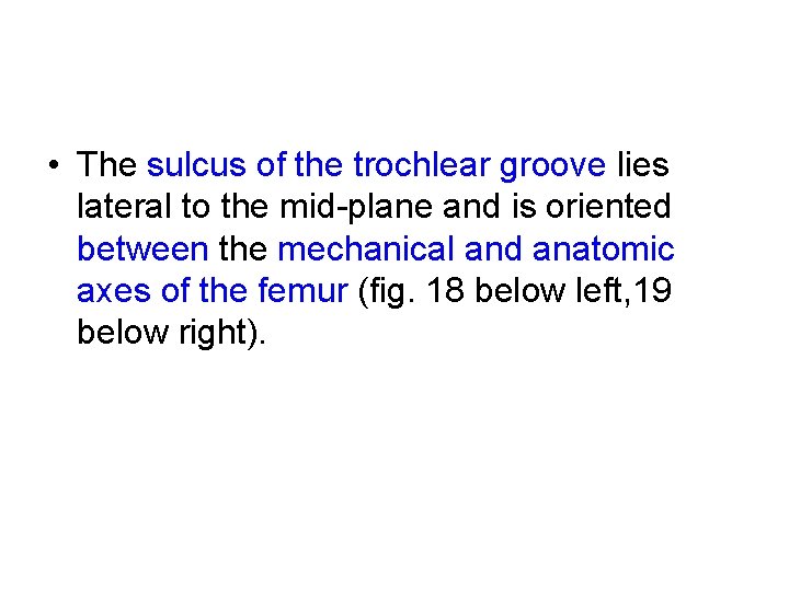  • The sulcus of the trochlear groove lies lateral to the mid plane