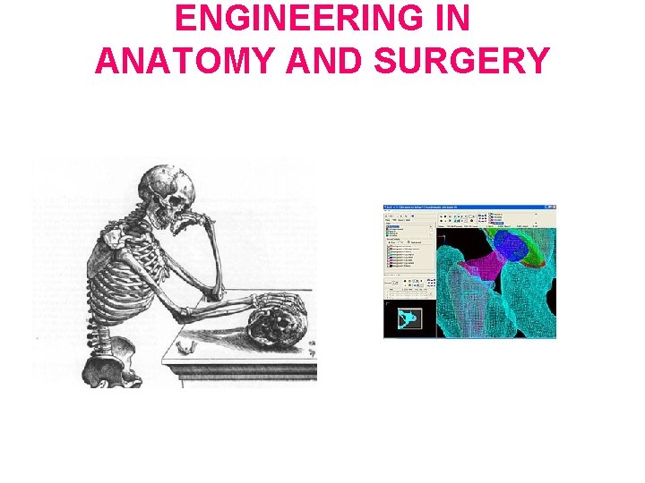 ENGINEERING IN ANATOMY AND SURGERY 