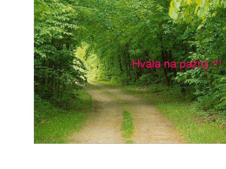 Hvala na pažnji !!! 