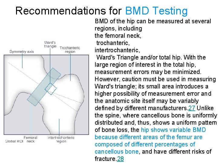  Recommendations for BMD Testing BMD of the hip can be measured at several