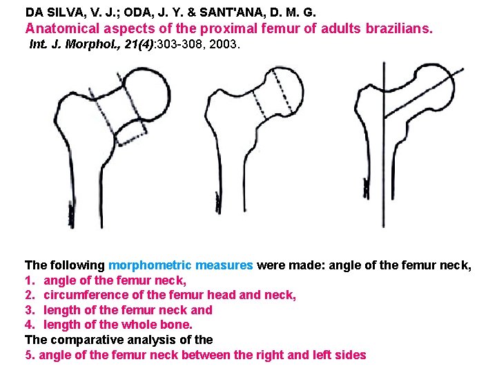 DA SILVA, V. J. ; ODA, J. Y. & SANT'ANA, D. M. G. Anatomical