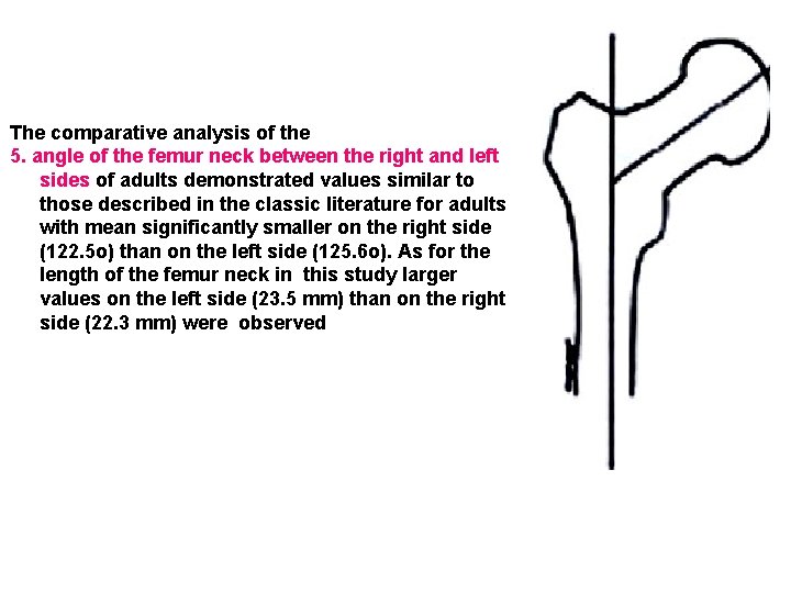  The comparative analysis of the 5. angle of the femur neck between the