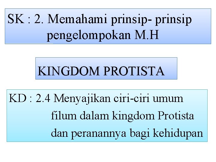 SK : 2. Memahami prinsip- prinsip pengelompokan M. H KINGDOM PROTISTA KD : 2.