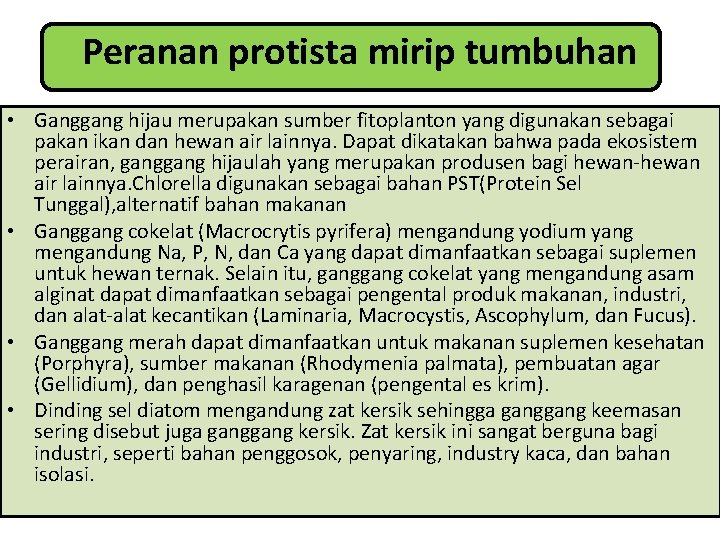 Peranan protista mirip tumbuhan • Ganggang hijau merupakan sumber fitoplanton yang digunakan sebagai pakan