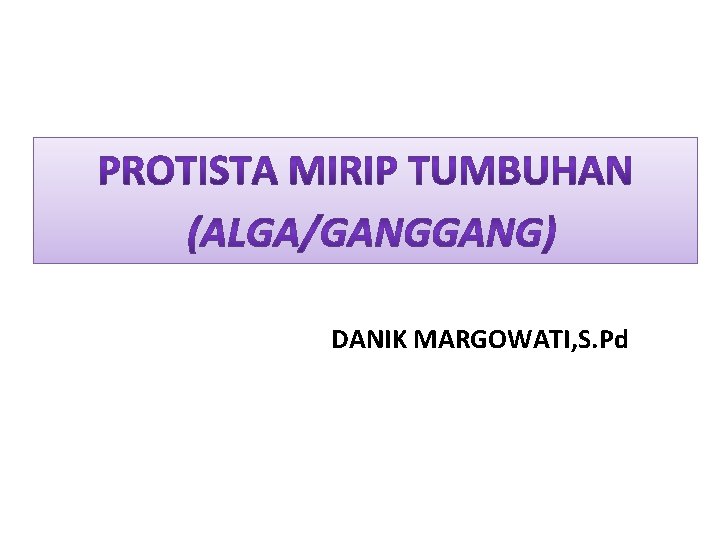 DANIK MARGOWATI, S. Pd 