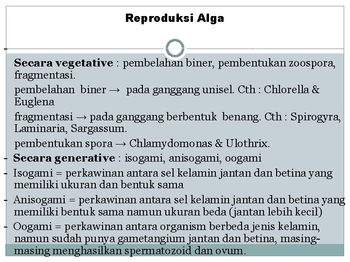 Reproduksi Alga - - Secara vegetative : pembelahan biner, pembentukan zoospora, fragmentasi. pembelahan biner