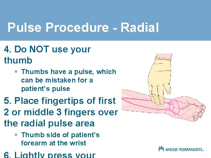 Pulse Procedure - Radial 4. Do NOT use your thumb § Thumbs have a