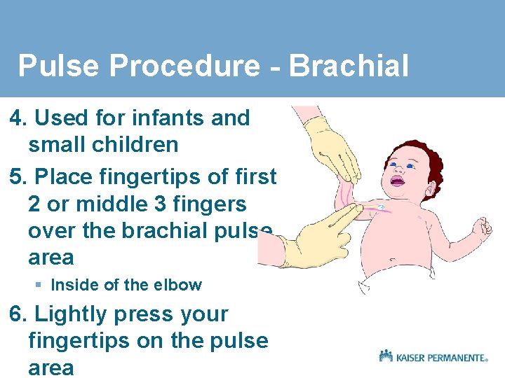 Pulse Procedure - Brachial 4. Used for infants and small children 5. Place fingertips