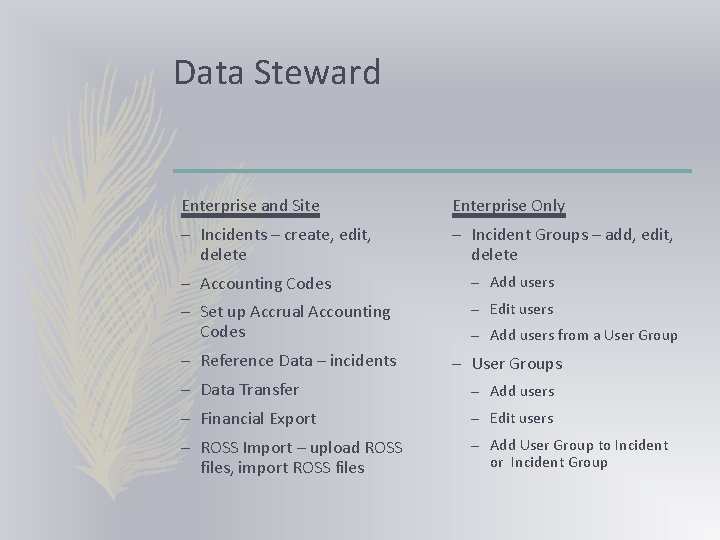Data Steward Enterprise and Site Enterprise Only – Incidents – create, edit, delete –