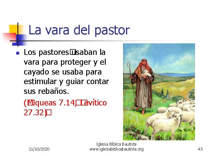 La vara del pastor n Los pastores� usaban la vara proteger y el cayado