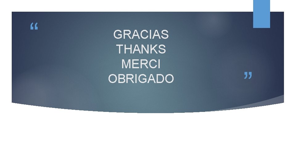 “ GRACIAS THANKS MERCI OBRIGADO ” 